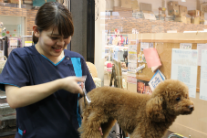 PET BOX Animal Station NAHA 下地はるか