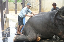 公益財団法人　沖縄こどもの国 仲本開