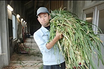 公益財団法人　沖縄こどもの国 仲本開