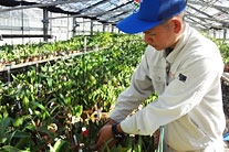海洋博公園・植物管理チーム(熱帯ドリームセンター担当) 仲松 辰弥